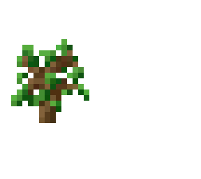 conservation