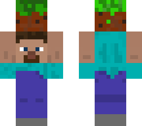 steve holds minecraft