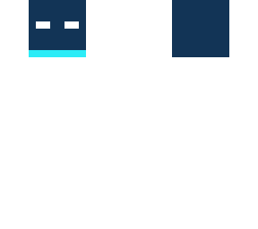 ninja head