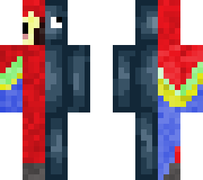 squid parrot