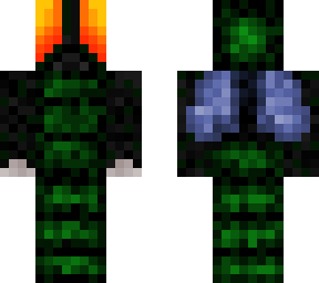 the fly guy