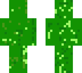 bush man