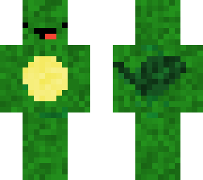 cute turtle skin