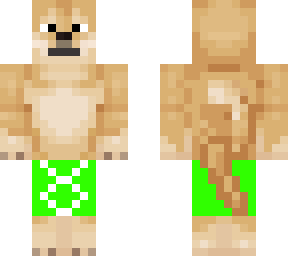 doge traje de bao