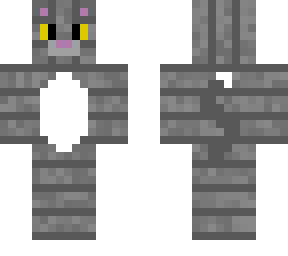 grey cat