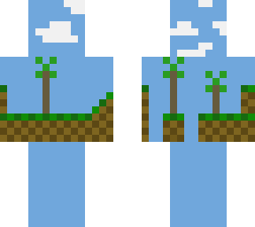 a sonic stage skin