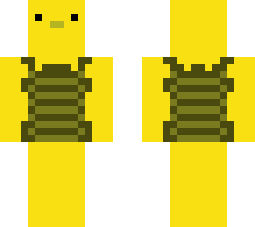 duck with vest