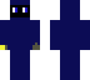 the bank robber