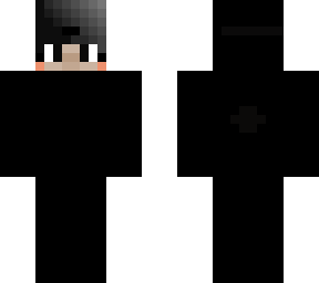 ninja skin!