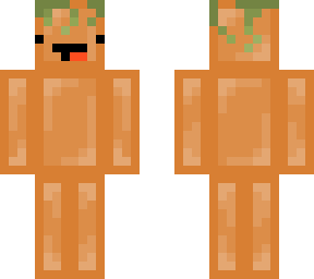 pumpkin skeppy