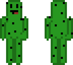derpy cactus, carly. for my dad.