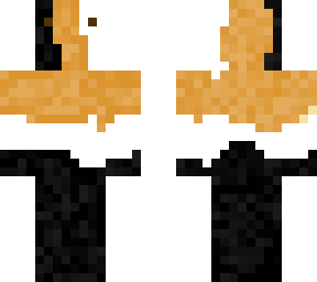 guinea pig