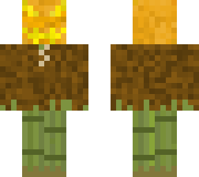 skintober pumpkin head