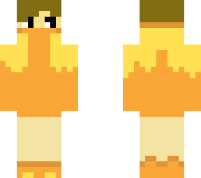 torchic boy