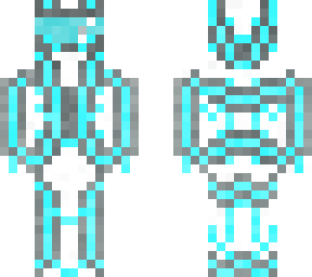 cyber ninja