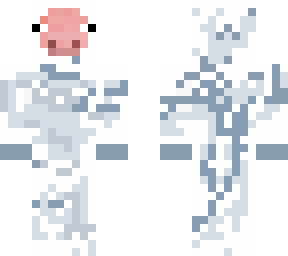 astro pig