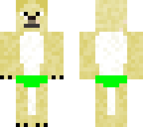 dog in green speedo