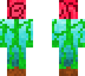 papa rose