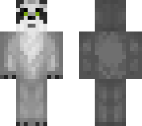 racoon