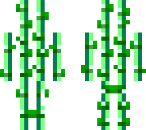 sugar cane skin from cronological transparency test