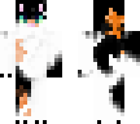 calico cat