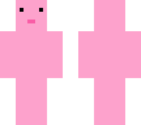 pig