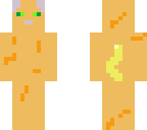 cheezethecat
