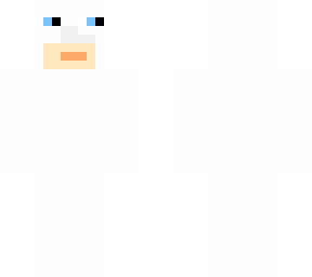 ninja dru