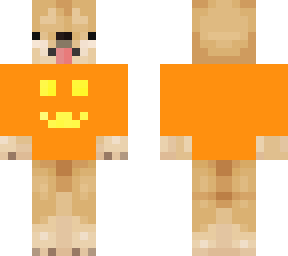 pumpkin corgi