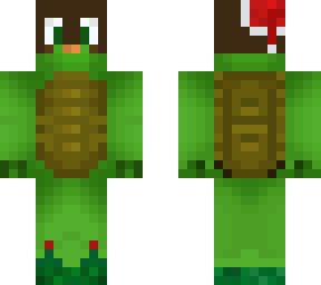 turtle bobes
