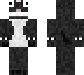 dog v2