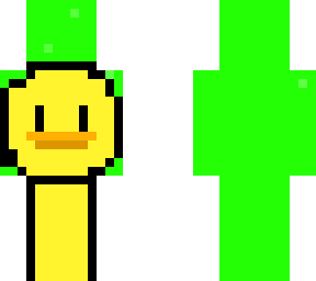 duck dream
