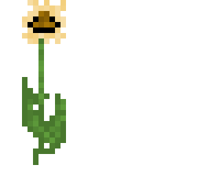 flower;)