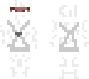 frozen ninja