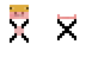 spase pig