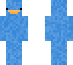 blue duck