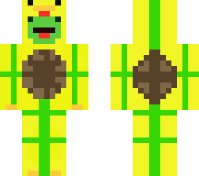the duck turtle