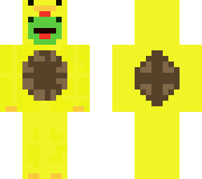 the duck turtle