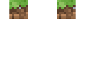 earth block face