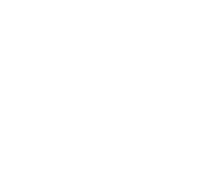 mo bot