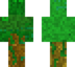 tree man
