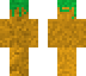 dirt