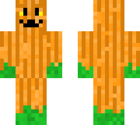 pumpkin skin