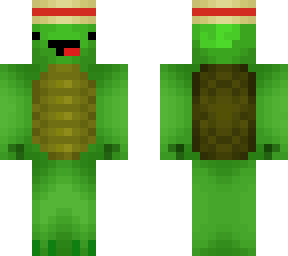 derp turtle with luffy hat for liam