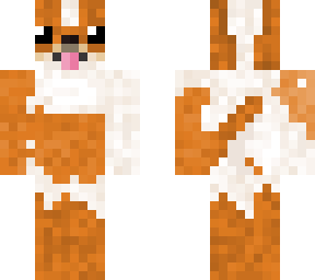 random dog