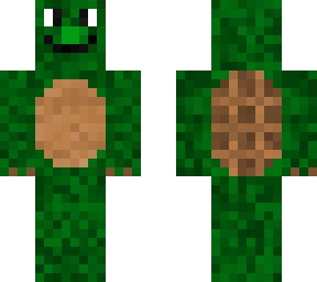 turtle from my profile