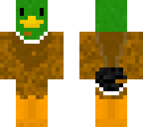 mallard duck