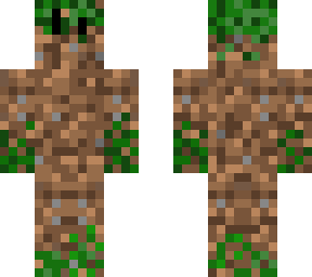 mossy dirt