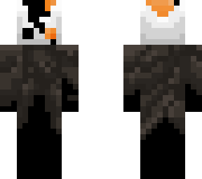 the hollow knight