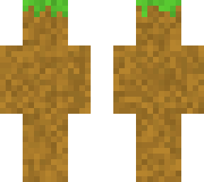 grass block skin
